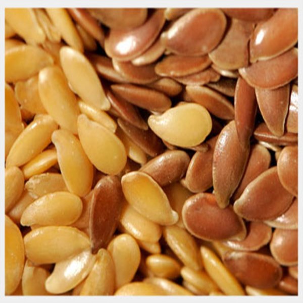 Linola Seed