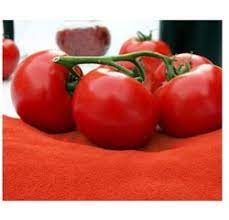 Natural Dried Tomato Powder